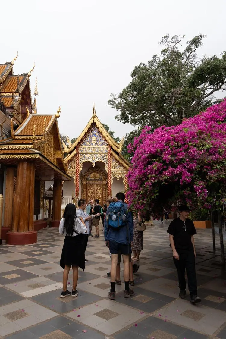 A temple path framed by pink bougainvillea